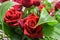 Two beautifull red roses bouquet flowers and foliage