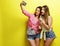 Two beauty hipster girls with a microphone take selfi
