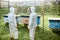 Two beekeepers working on the apiary