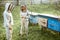 Two beekeepers working on the apiary