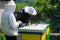 Two beekeepers works in apiary in protective clothes on sunny spring day