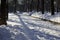 Two benches covered with snow. Tverskoy boulevard