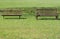 Two benches on the lawn
