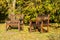 Two benches in the park, autumn and leaves