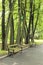 Two benches under the trees