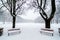 Two benchs in park during a snowfall. Snow covered. Tree alignment.