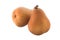 Two Beurre Bosc pears