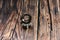 Two bevel gears after manufacturing lie on a wooden background