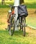 two bicycles near the pole. personal sports bikes in the park