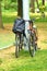 two bicycles near the pole. personal sports bikes in the park