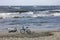 Two bicycles on a sandy beach against the waves of the Baltic sea.