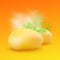 Two big cooked hot yellow potatoes with dill on colorful background