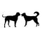 Two big dogs are playing _silhouettes