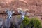 Two Bighorn Sheep beside a rocky cliff in Colorado National Monument
