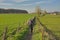 Two bikers biking through the fields of Flemish ardennes