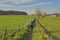 Two bikers biking through the fields of Flemish ardennes