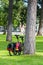 Two Bikes against Tree