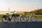 Two bikes with yellow leaves on the trunk. Krestovsky island . Saint Petersburg