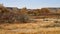 Two bird houses on a rustic wooden fence amongst the vibrant fall colors in the badlands.