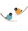 Two birds of blue and brown color are sitting on a branch, hunched over. Winter, it`s snowing.