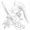 two birds and flower coloring page