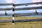 Two birds hoopoes on an old wooden fence