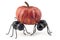 Two Black Ants Carrying Pumpkin Concept