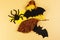 A two black bats and black spider with autumn leaves. New era of autumn. Happy halloween. Halloween decoration