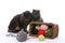 Two black cats turn over a basket of yarn