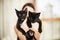 Two black kittens sitting in female hands