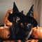 Two black kittens wearing witches hats on a bed. Generative AI image.