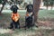 Two black labrador retriever dogs pose outside wearing Halloween bandanas