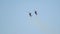 Two black military fighter jets flying in circles in the sky