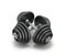 Two black steel dumbbells