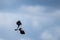 Two black and white nothern lapwing birds flying close to each other on a partially blue sky. It is also known as the green plover