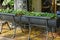 Two black wooden boxes of a pot with green ornamental plants on the pavement against the wall