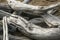 Two bleached driftwood logs on Flagstaff Lake, northwestern Main