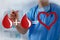 Two blood drops equals healthy heart, blood transfusion concept