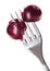 Two bloody cherry fruits pricked on metal fork