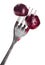 Two bloody cherry fruits pricked on metal fork