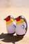 Two blow up penguins on a sandy beach