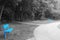 Two blue benches in park nature black and white