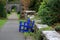 Two blue chairs in a landscaped garden