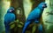 Two blue parrots on a tree in the jungle. Generative Al Illustration