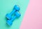 Two blue plastic dumbbells