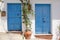 Two blue spanish door