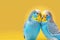 Two blue wavy lovesick parrots are sitting together and kissing. Generative AI, generative artificial intelligence