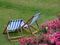 Two blue and white deckchairs in flower grass garden