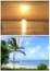 Two Blurred Tropical Backgrounds