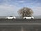 Two BMW 3-series cars line up under trees along a road in Taihu Lake, Jiangsu province, with blue skies and white clouds